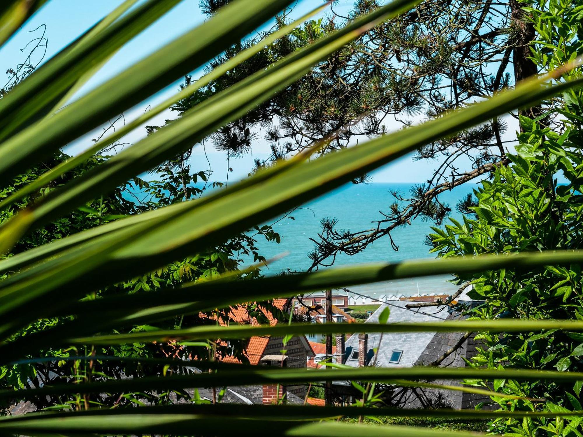 Le Carre Vue Mer Pourville-sur-Mer Exteriér fotografie